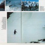 TERRE SAUVAGE Magazine - prisonniers des glaces [2/7]