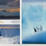 TERRE SAUVAGE Magazine - prisonniers des glaces [3/7]