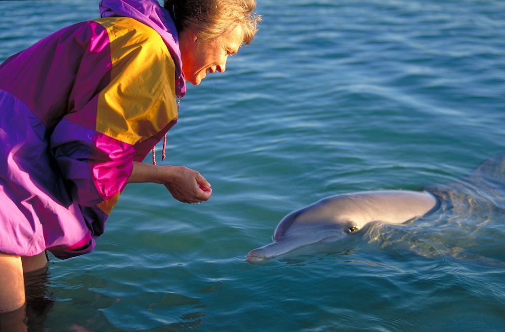 Heide mit Delphin in der Shark Bay, Australien