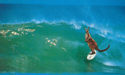 Surfen - die große Leidenschaft der Australier und ihrer Ureinwohner Surfen - die große Leidenschaft der Australier und ihrer Ureinwohner