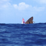 Schon ein paar Jahre her (1990)