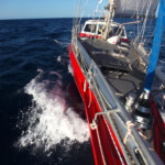 Bei Wind darf gesegelt werden