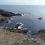 An der Muring (Selvagem Grande 2020)