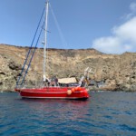 An der Muring (Selvagem Grande 2020)